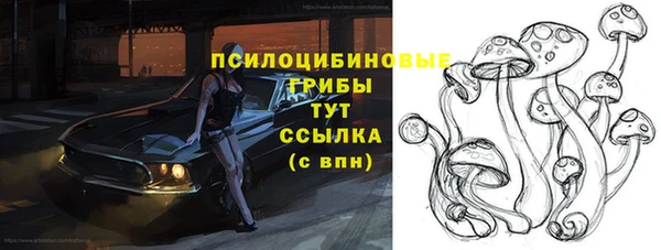 ПСИЛОЦИБИНОВЫЕ ГРИБЫ Михайлов