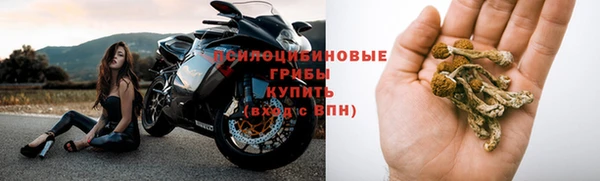 apvp Медвежьегорск