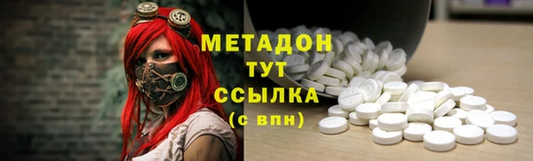 ПСИЛОЦИБИНОВЫЕ ГРИБЫ Михайлов