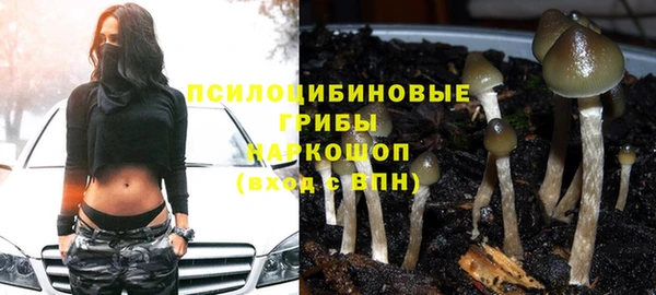 метадон Михайловск